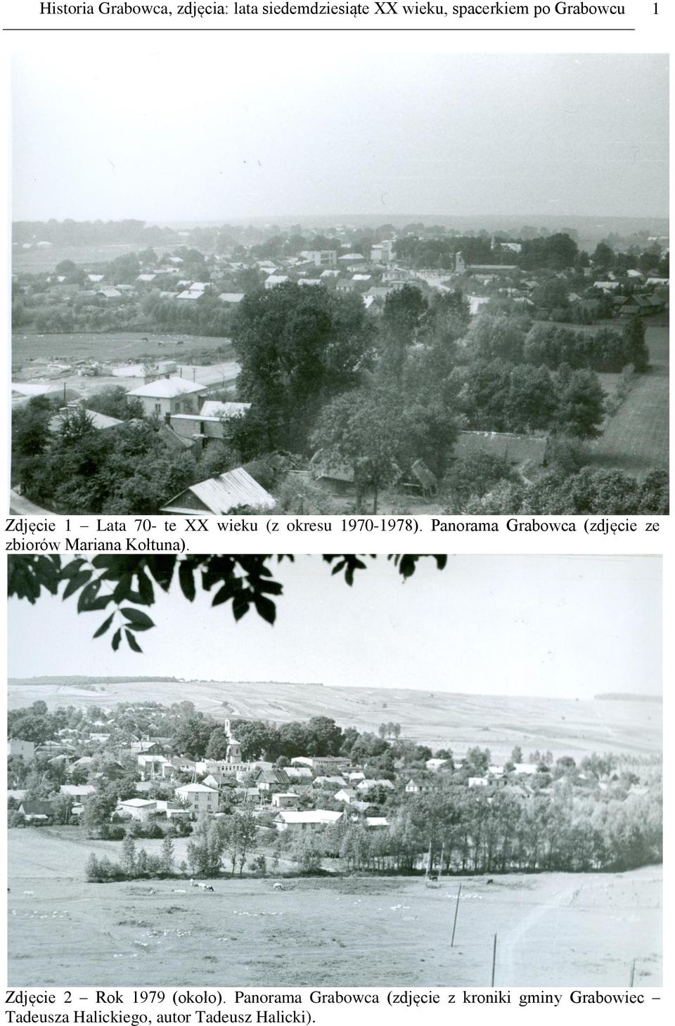 Panorama Grabowca (zdjęcie ze zbiorów Mariana Kołtuna).