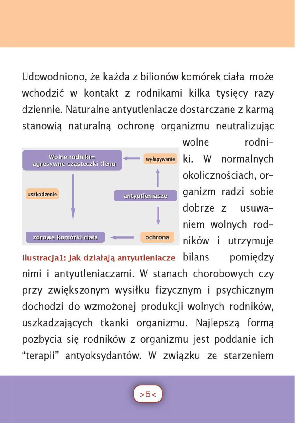 Wolne rodniki= agresywne cząsteczki tlenu wyłapywanie W normalnych okolicznościach, organizm uszkodzenie radzi sobie antyutleniacze dobrze z usuwaniem zdrowe komórki ciała ochrona wolnych rod- ników