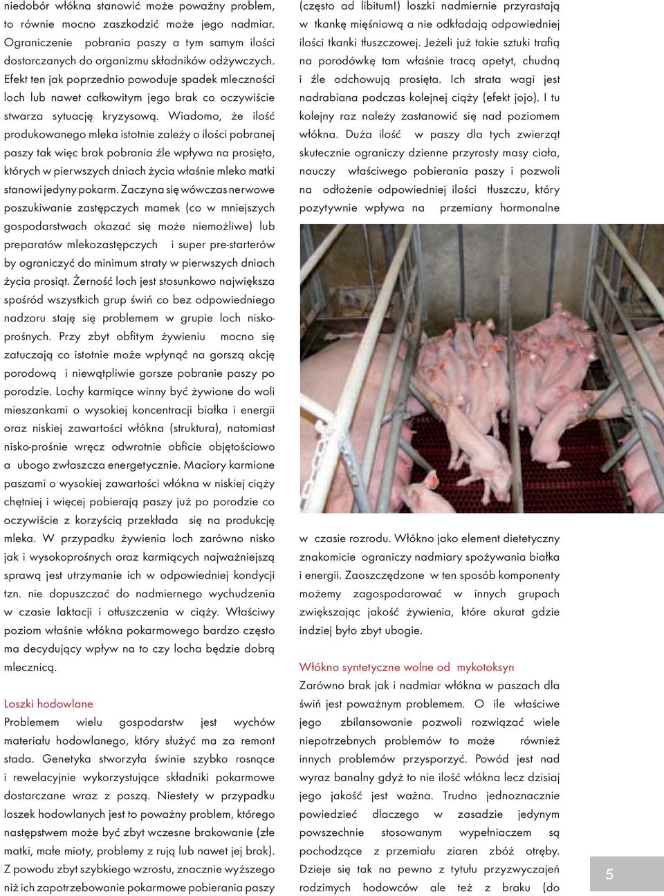 Wiadomo, że ilość produkowanego mleka istotnie zależy o ilości pobranej paszy tak więc brak pobrania źle wpływa na prosięta, których w pierwszych dniach życia właśnie mleko matki stanowi jedyny