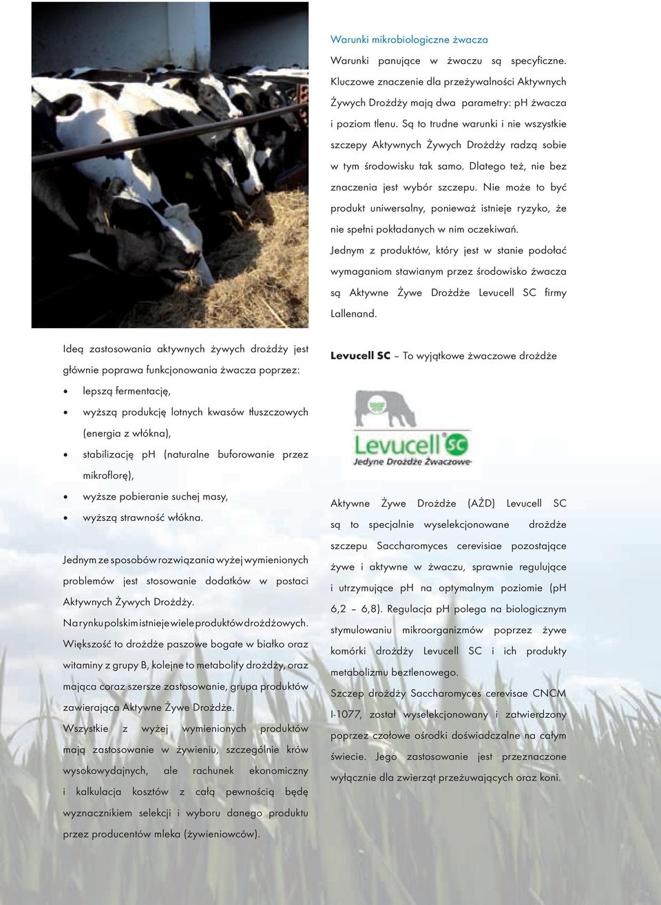 Nie może to być produkt uniwersalny, ponieważ istnieje ryzyko, że nie spełni pokładanych w nim oczekiwań.