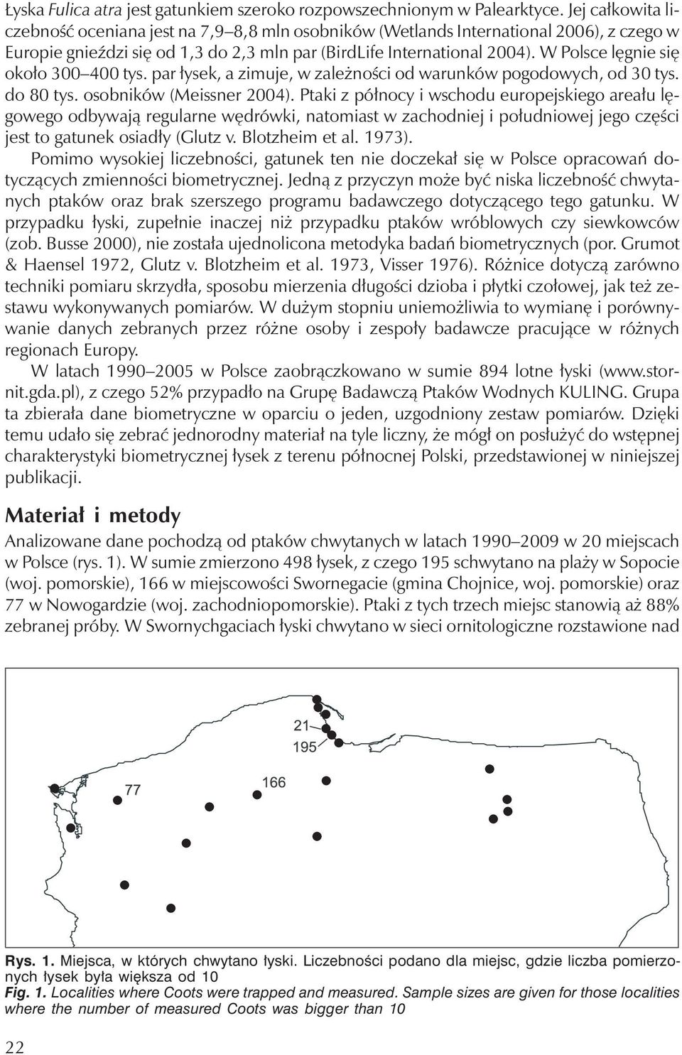 W Polsce lęgnie się około 300 400 tys. par łysek, a zimuje, w zależności od warunków pogodowych, od 30 tys. do 80 tys. osobników (Meissner 2004).