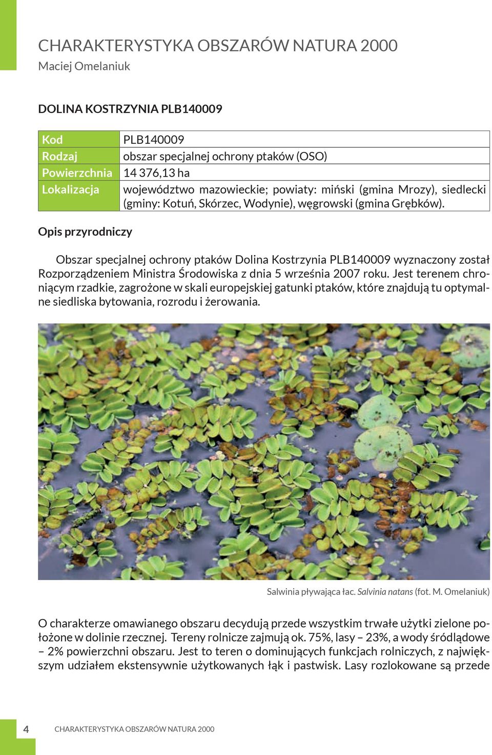 Opis przyrodniczy Obszar specjalnej ochrony ptaków Dolina Kostrzynia PLB140009 wyznaczony został Rozporządzeniem Ministra Środowiska z dnia 5 września 2007 roku.