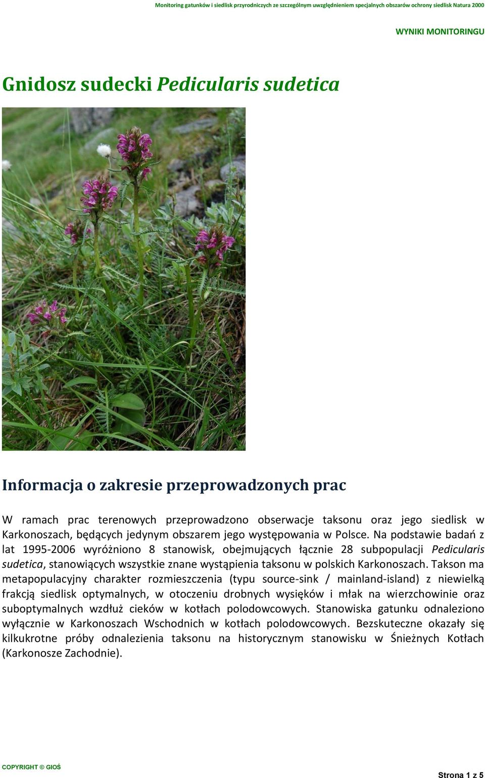 Na podstawie badań z lat 1995-2006 wyróżniono 8 stanowisk, obejmujących łącznie 28 subpopulacji Pedicularis sudetica, stanowiących wszystkie znane wystąpienia taksonu w polskich Karkonoszach.