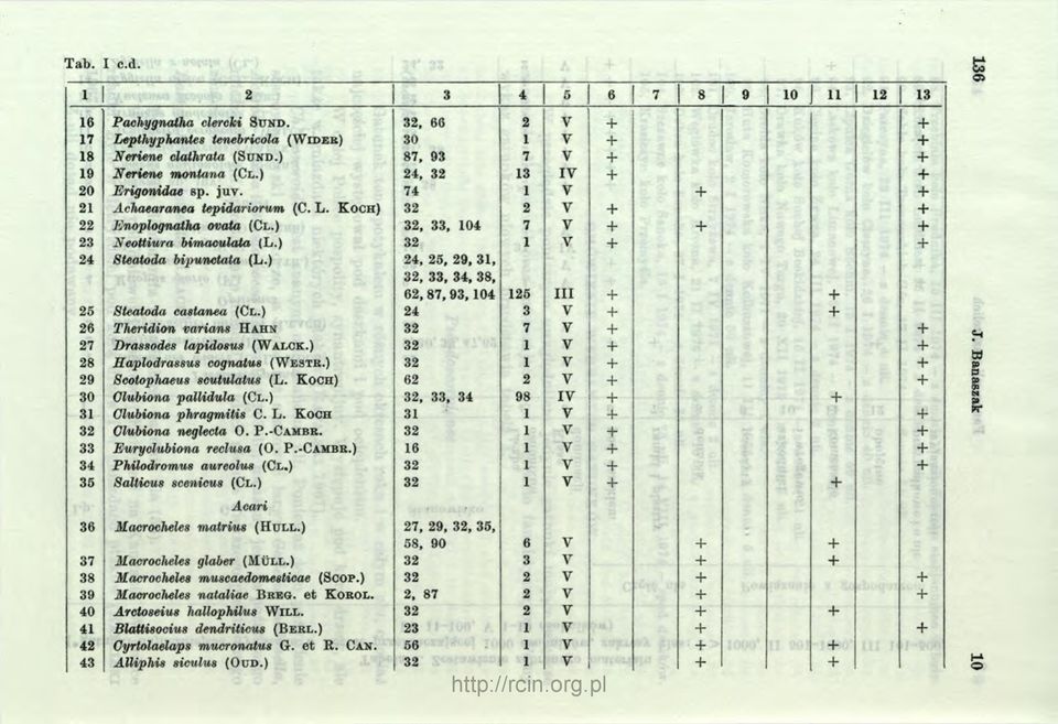 ) 24, 25, 29, 31, 32, 33, 34, 38, 62, 87, 9 3,1 0 4 125 I II + + 25 Steatoda castanea (Cl.) 24 3 26 Theridion varians H ahn 32 7 27 Drassodes lapidosus (W alck.