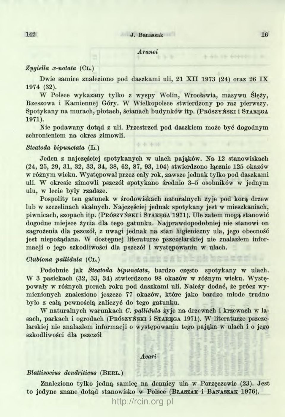 (P ró sz y ń sk i i Staręga 1971). Kie podawany dotąd z uli. Przestrzeń pod daszkiem może być dogodnym schronieniem na okres zimowli. Steatoda bipunctata (L.