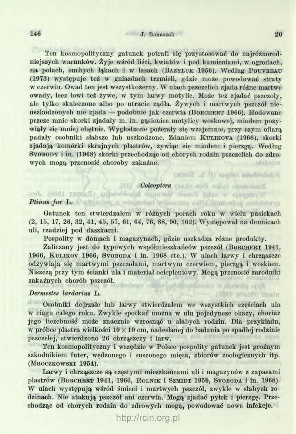 Według P o u v r e a u (1973) występuje też w gniazdach trzmieli, gdzie może powodować straty w czerwiu. Owad ten jest wszystkożerny.