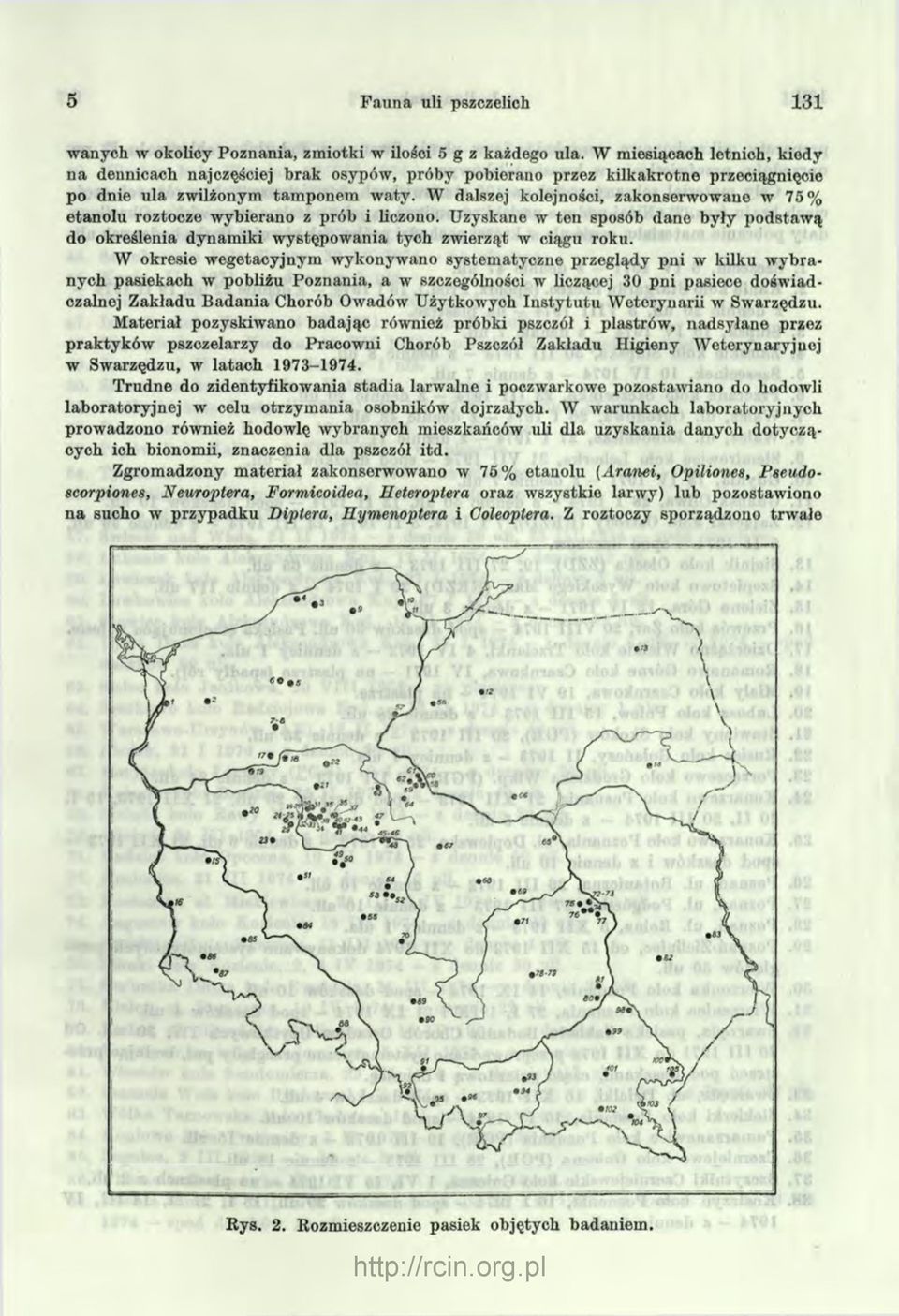 W dalszej kolejności, zakonserwowano w 75% etanolu roztocze wybierano z prób i liczono. Uzyskane w ten sposób dano były podstaw ą do określenia dynam iki w ystępow ania tych zw ierząt w ciągu roku.