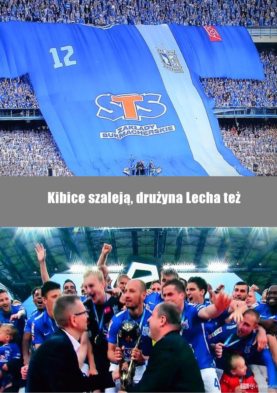 drużyna