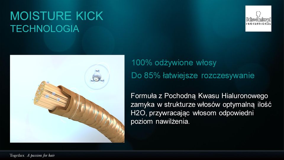 Hialuronowego zamyka w strukturze włosów optymalną