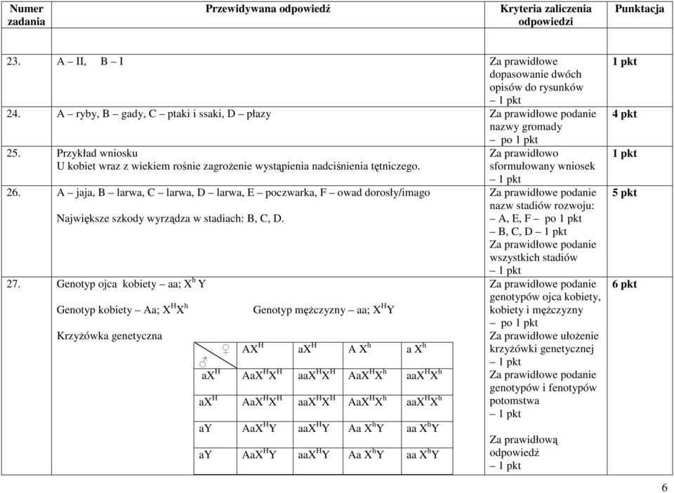 A jaja, B larwa, C larwa, D larwa, E poczwarka, F owad dorosły/imago Największe szkody wyrządza w stadiach: B, C, D. 27.