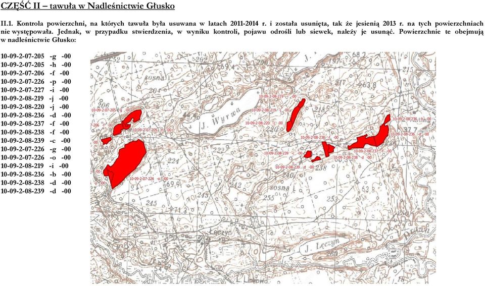 Powierzchnie te obejmują w nadleśnictwie Głusko: 10-09-2-07-205 -g -00 10-09-2-07-205 -h -00 10-09-2-07-206 -f -00 10-09-2-07-226 -p -00 10-09-2-07-227 -i -00 10-09-2-08-219 -j -00