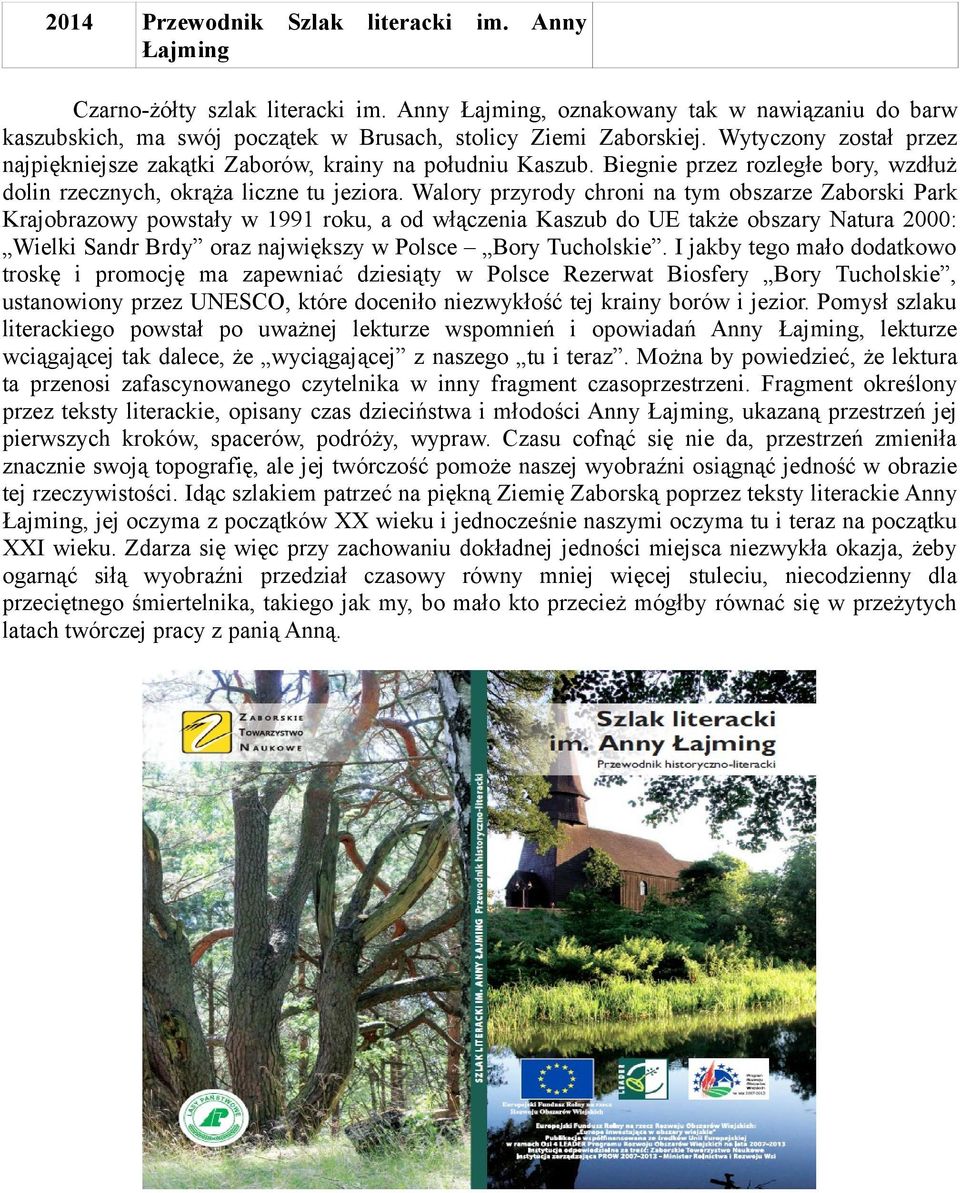 Walory przyrody chroni na tym obszarze Zaborski Park Krajobrazowy powstały w 1991 roku, a od włączenia Kaszub do UE także obszary Natura 2000: Wielki Sandr Brdy oraz największy w Polsce Bory