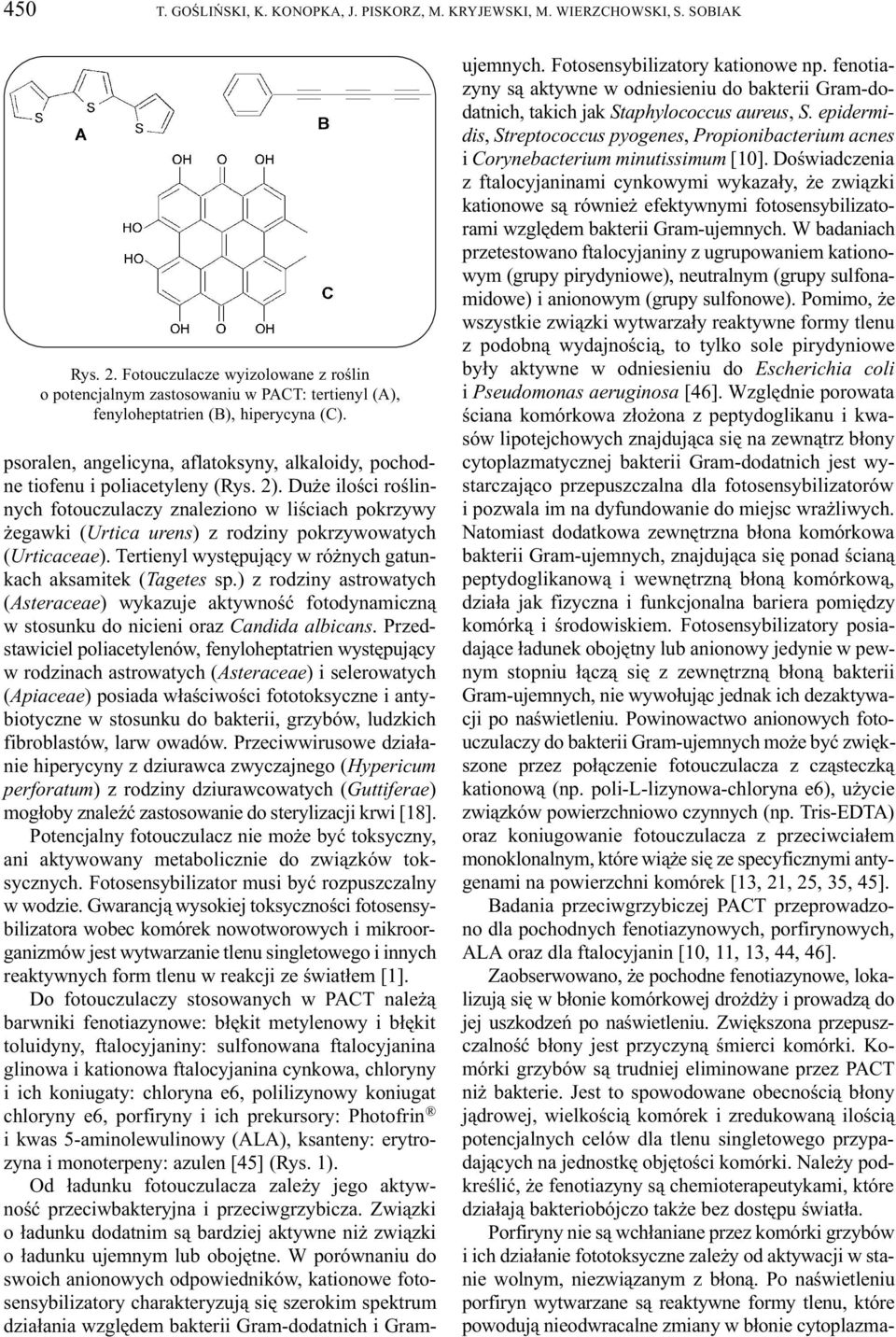 psoralen, angelicyna, aflatoksyny, alkaloidy, pochodne tiofenu i poliacetyleny (Rys. 2).