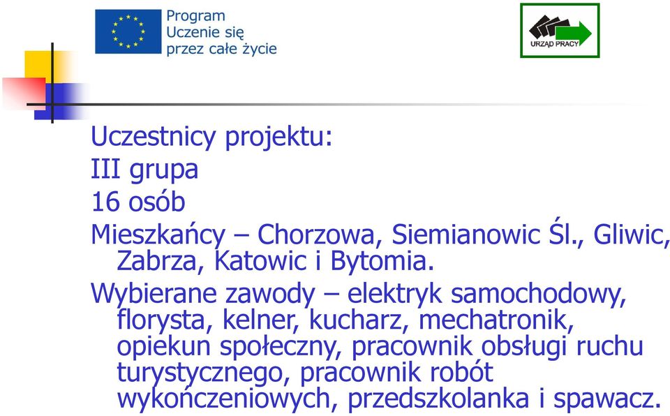 Wybierane zawody elektryk samochodowy, florysta, kelner, kucharz,