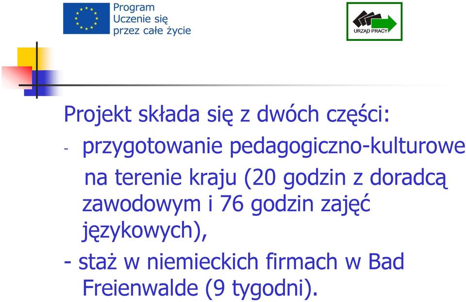 doradcą zawodowym i 76 godzin zajęć językowych), -