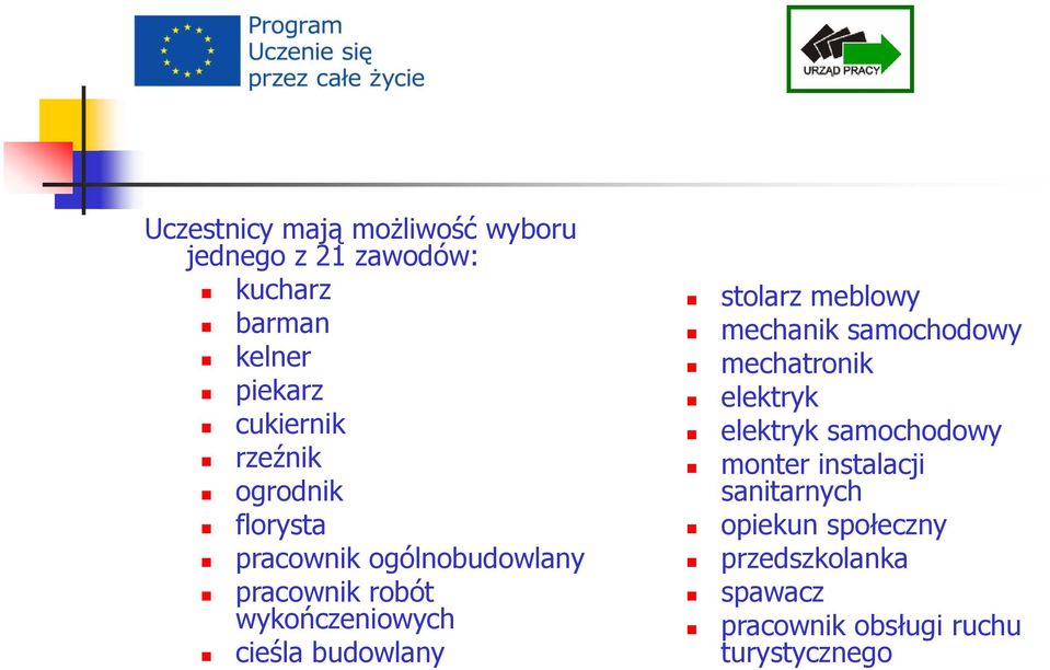 budowlany stolarz meblowy mechanik samochodowy mechatronik elektryk elektryk samochodowy monter