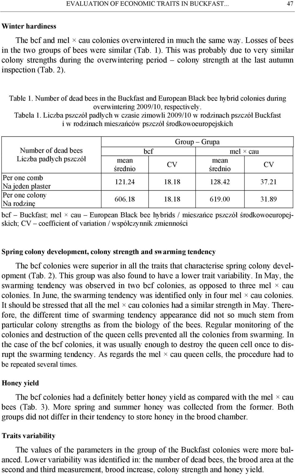 Number of dead bees in the Buckfast and European Black bee hybrid colonies during overwintering 2009/10, respectively. Tabela 1.