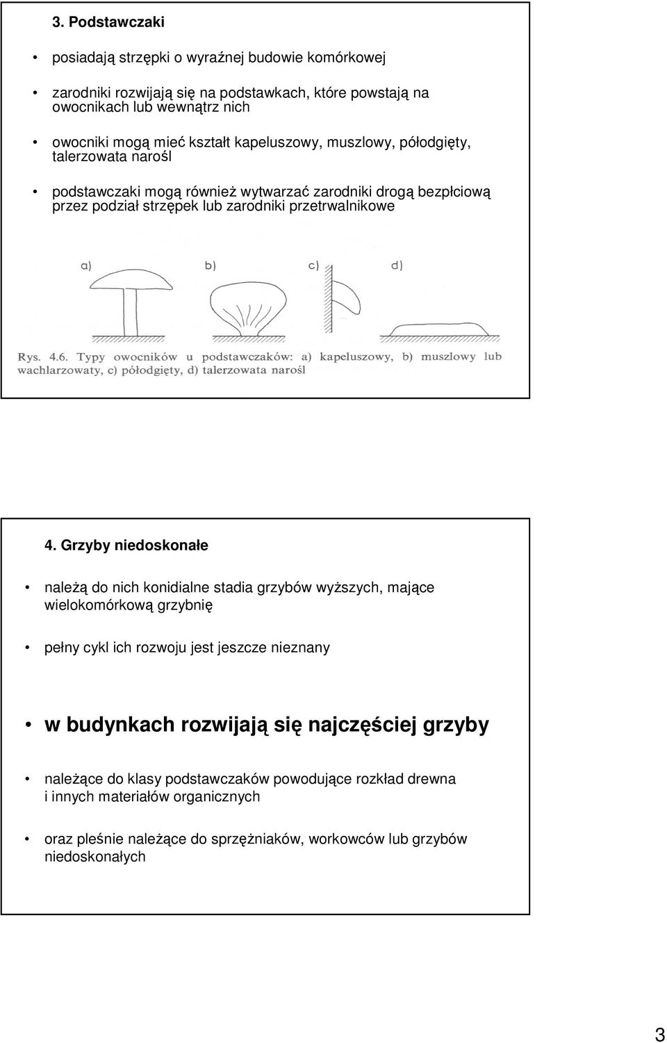 4. Grzyby niedoskonałe naleŝą do nich konidialne stadia grzybów wyŝszych, mające wielokomórkową grzybnię pełny cykl ich rozwoju jest jeszcze nieznany w budynkach rozwijają się