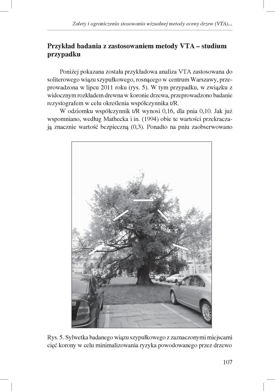 przeprowadzona w lipcu 2011 roku (rys. 5). W tym przypadku, w związku z widocznym rozkładem drewna w koronie drzewa, przeprowadzono badanie rezystografem w celu określenia współczynnika t/r.