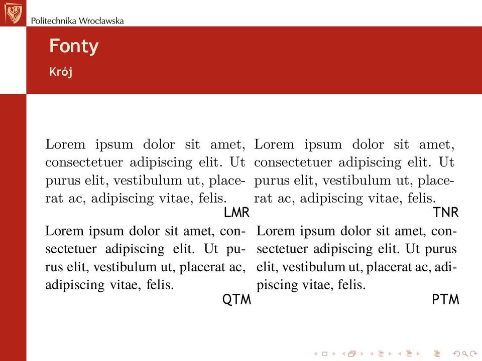 Ut purus elit, vestibulum ut, placerat ac, adipiscing vitae, felis. QTM Lorem ipsum dolor sit amet, consectetuer adipiscing elit.