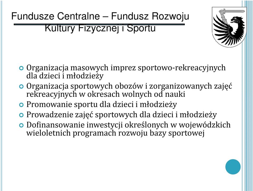 rekreacyjnych w okresach wolnych od nauki Promowanie sportu dla dzieci i młodzieży Prowadzenie zajęć