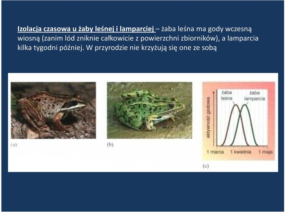 całkowicie z powierzchni zbiorników), a lamparcia