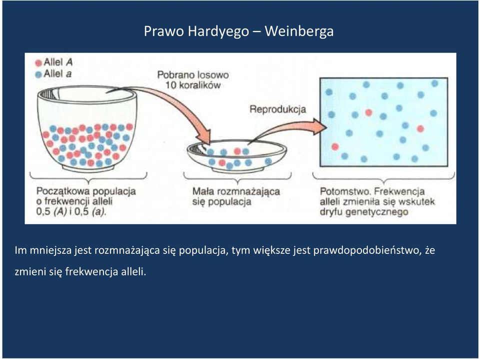 populacja, tym większe jest