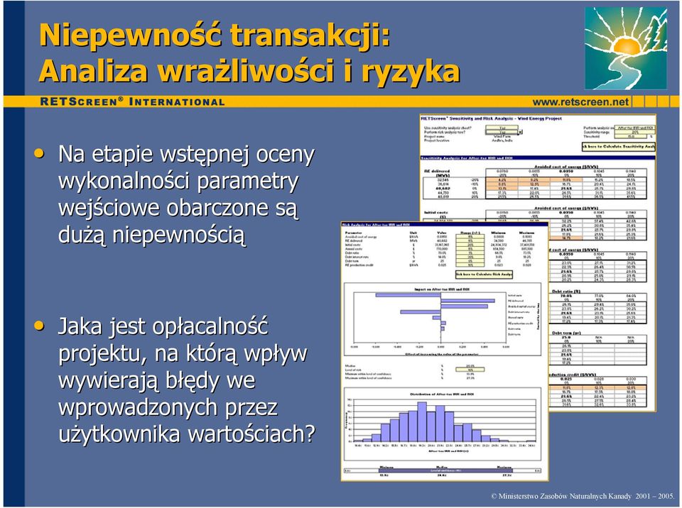 jest opłacalność projektu, na którą wpływ wywierają błędy we wprowadzonych