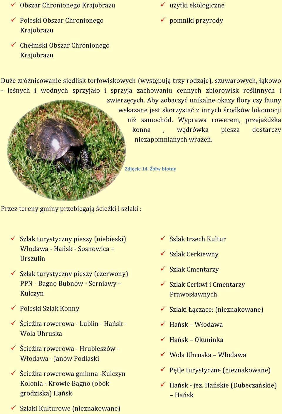 Aby zobaczyć unikalne okazy flory czy fauny wskazane jest skorzystać z innych środków lokomocji niż samochód. Wyprawa rowerem, przejażdżka konna, wędrówka piesza dostarczy niezapomnianych wrażeń.