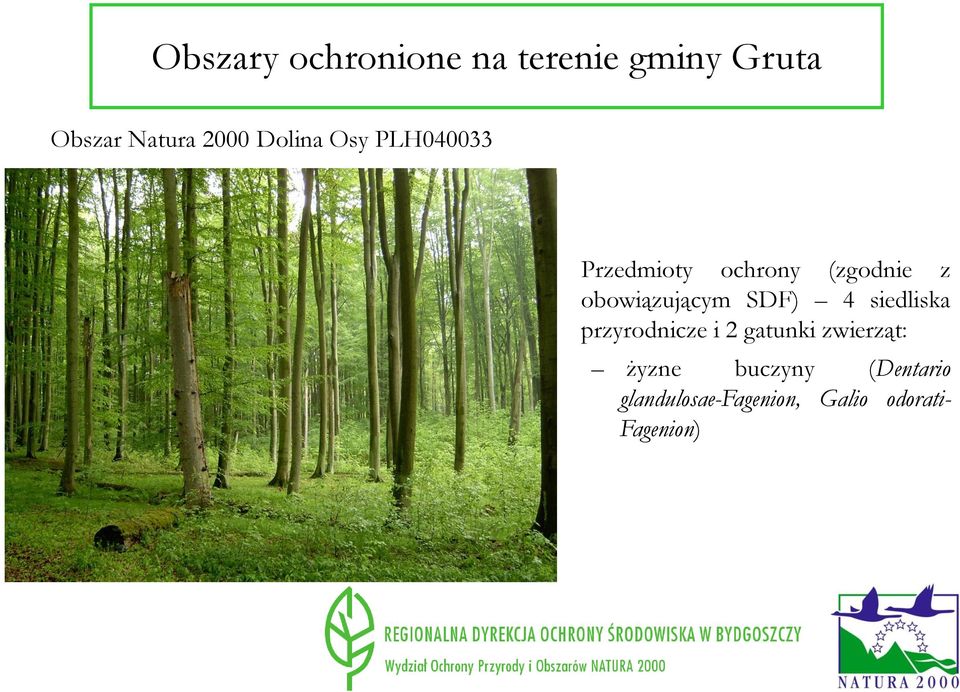 obowiązującym SDF) 4 siedliska przyrodnicze i 2 gatunki