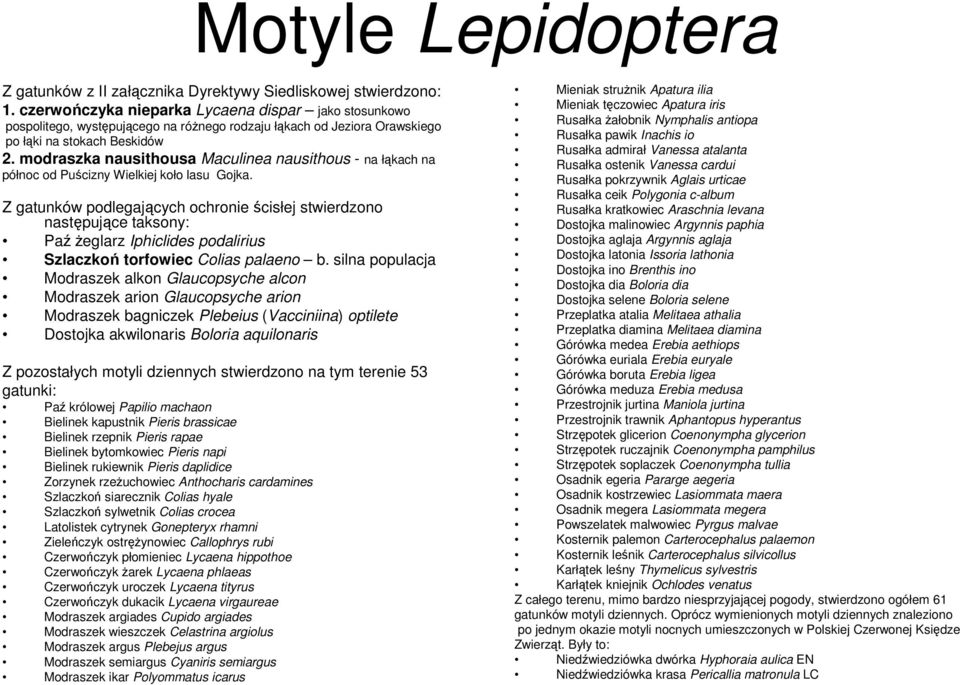 modraszka nausithousa Maculinea nausithous - na łąkach na północ od Puścizny Wielkiej koło lasu Gojka.