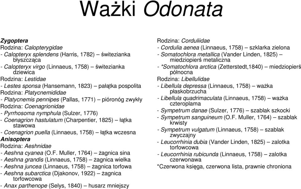 (Charpentier, 1825) łątka stawowa - Coenagrion puella (Linnaeus, 1758) łątka wczesna Anisoptera Rodzina: Aeshnidae - Aeshna cyanea (O.F.