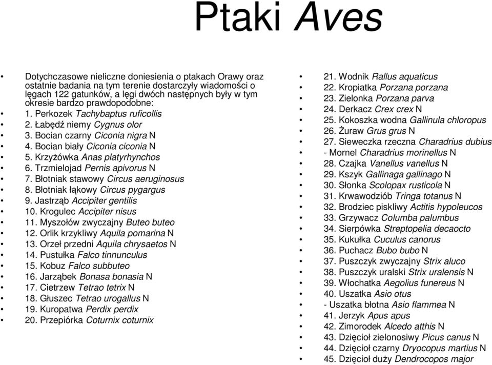 Trzmielojad Pernis apivorus N 7. Błotniak stawowy Circus aeruginosus 8. Błotniak łąkowy Circus pygargus 9. Jastrząb Accipiter gentilis 10. Krogulec Accipiter nisus 11.