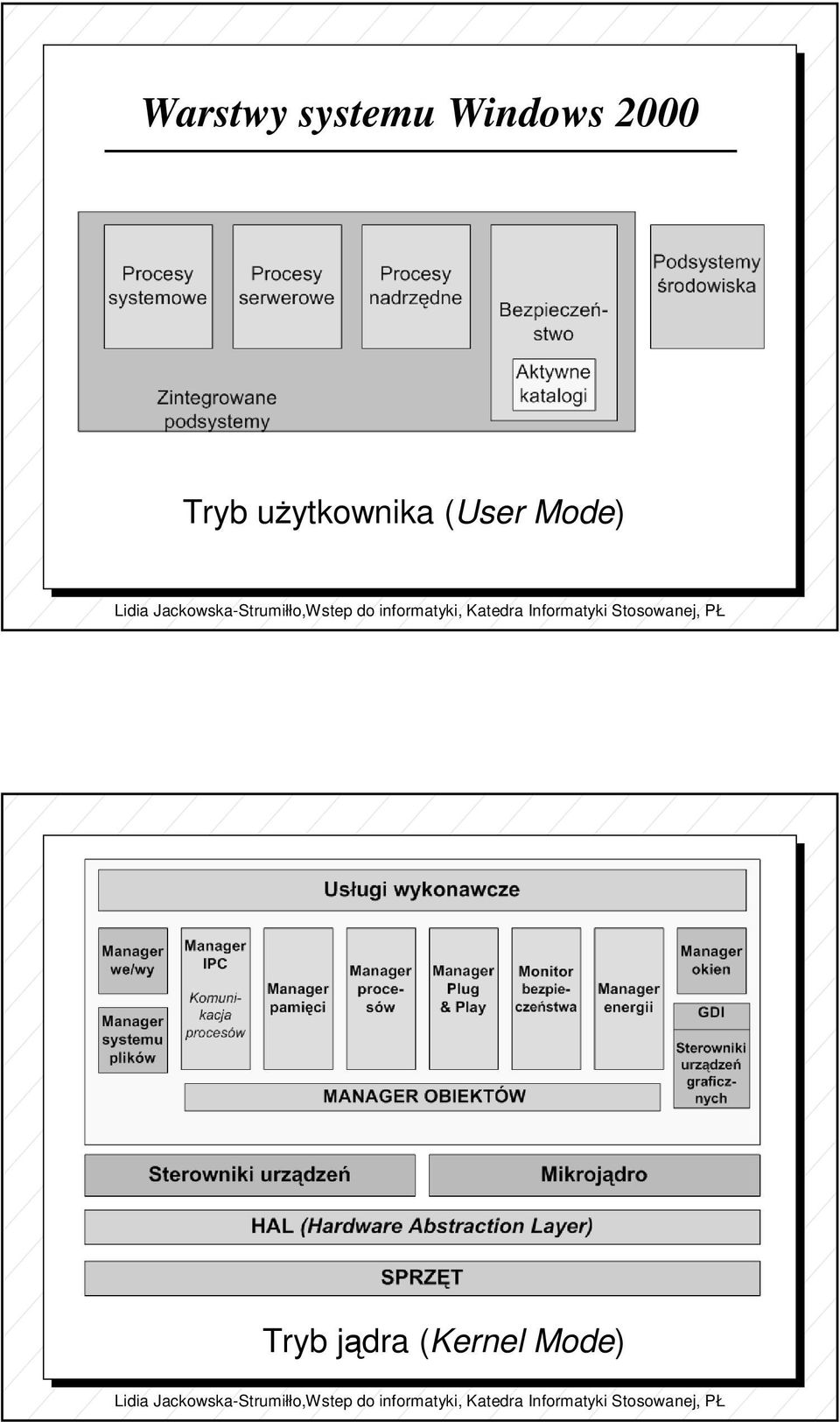 użytkownika (User