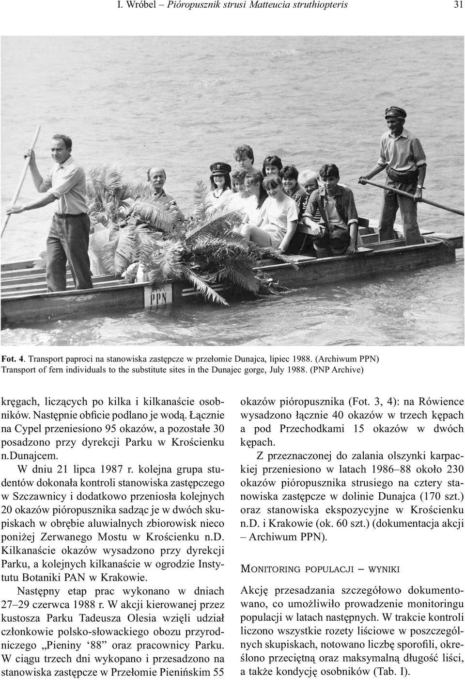 Następnie obficie podlano je wodą. Łącznie na Cypel przeniesiono 95 okazów, a pozostałe 30 posadzono przy dyrekcji Parku w Krościenku n.dunajcem. W dniu 21 lipca 1987 r.