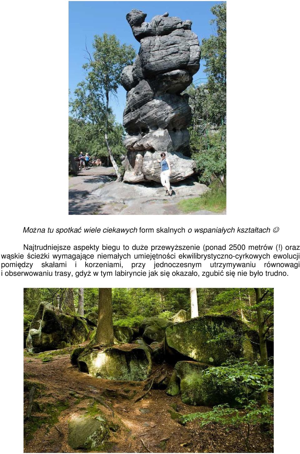 ) oraz wąskie ścieżki wymagające niemałych umiejętności ekwilibrystyczno-cyrkowych ewolucji