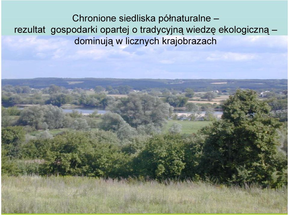 gospodarki opartej o tradycyjną