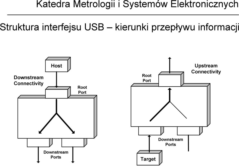 Connectivity Host Root Port Root Port