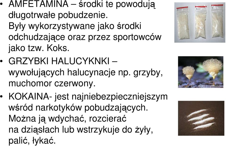 GRZYBKI HALUCYKNKI wywołujących halucynacje np. grzyby, muchomor czerwony.