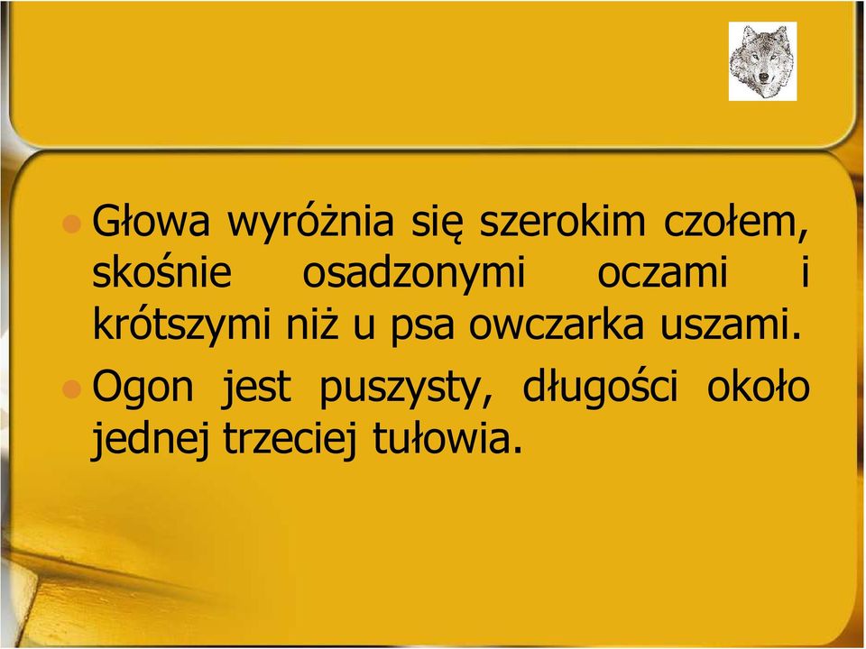 niż u psa owczarka uszami.