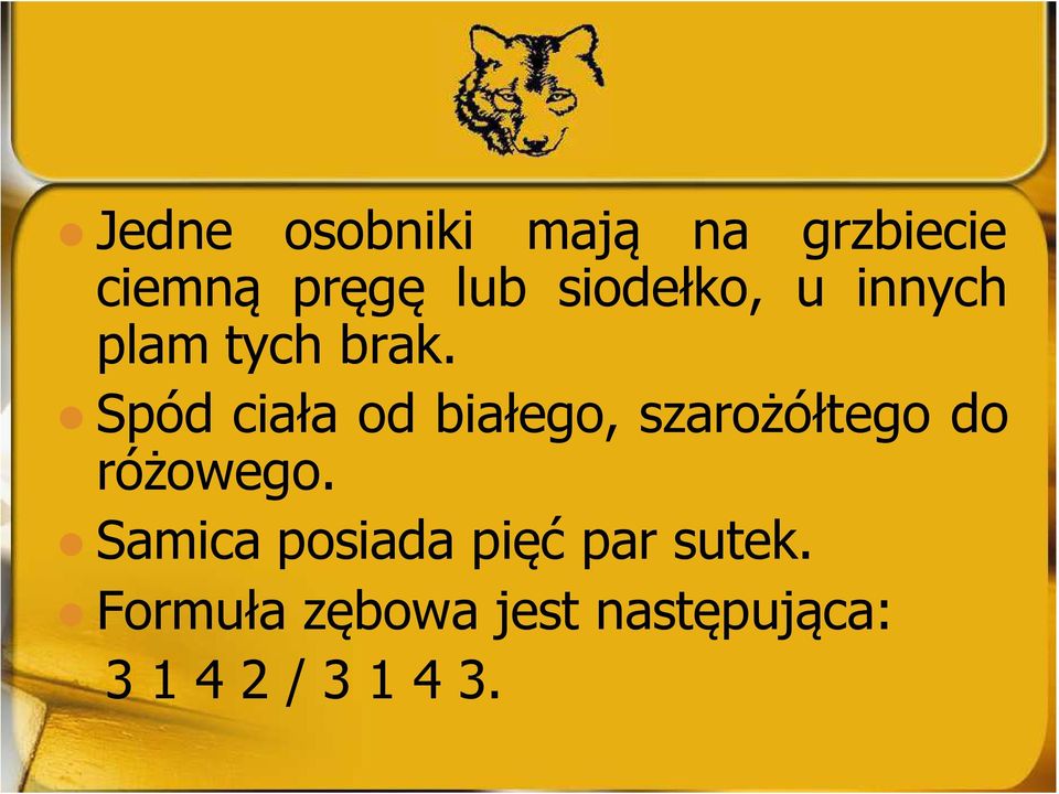 Spód ciała od białego, szarożółtego do różowego.