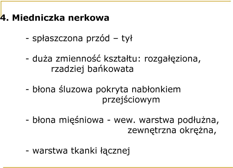 śluzowa pokryta nabłonkiem przejściowym - błona mięśniowa -