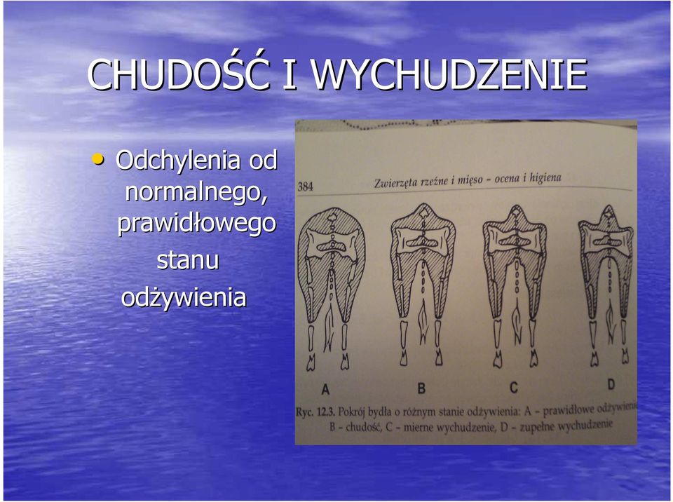 Odchylenia od