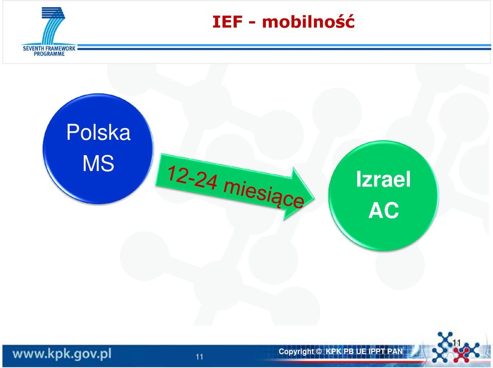 Polska MS