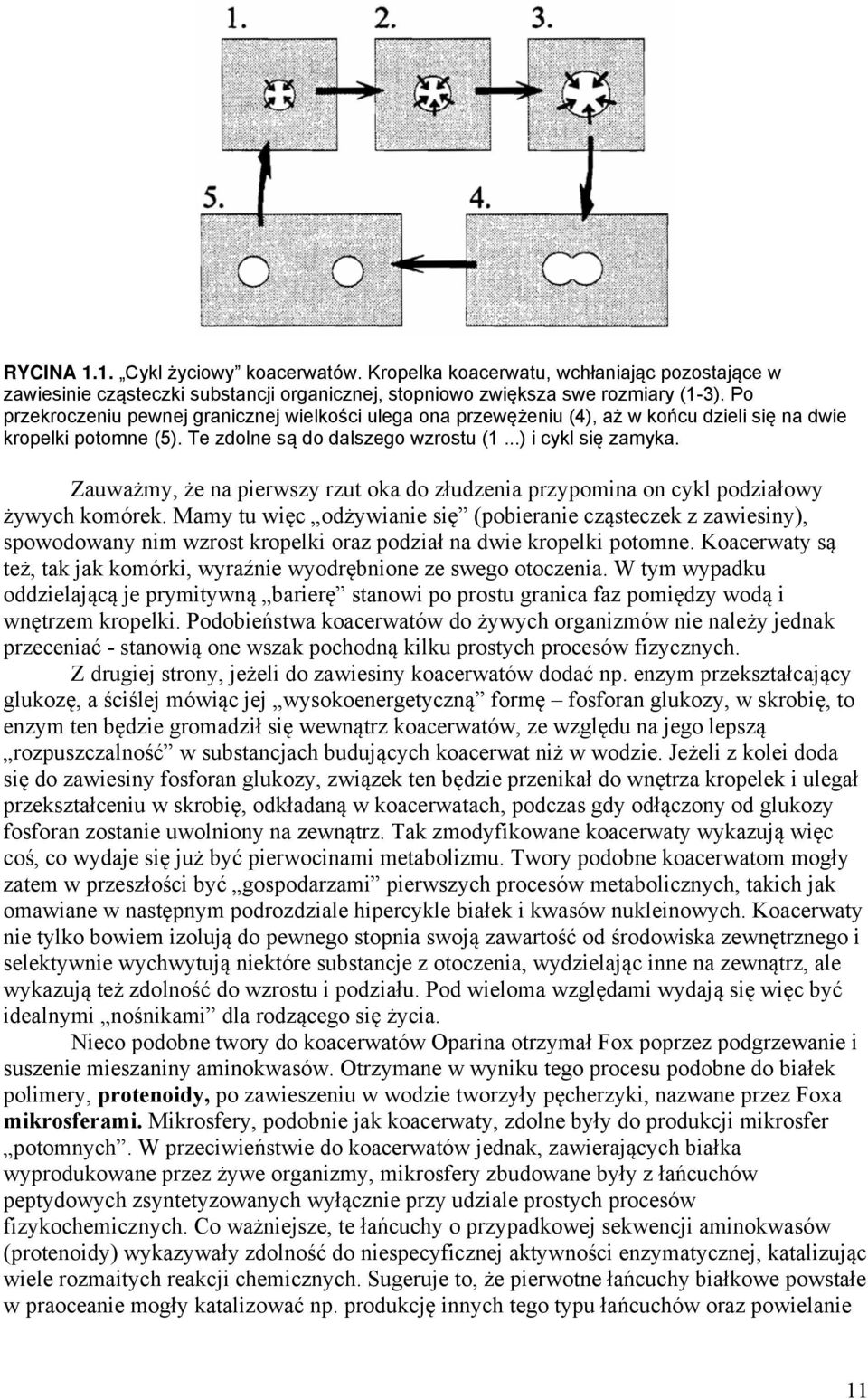 Zauważmy, że na pierwszy rzut oka do złudzenia przypomina on cykl podziałowy żywych komórek.