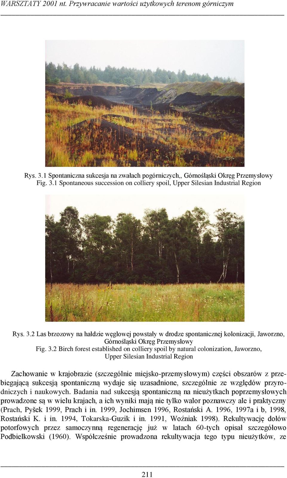 2 Birch forest established on colliery spoil by natural colonization, Jaworzno, Upper Silesian Industrial Region Zachowanie w krajobrazie (szczególnie miejsko-przemysłowym) części obszarów z