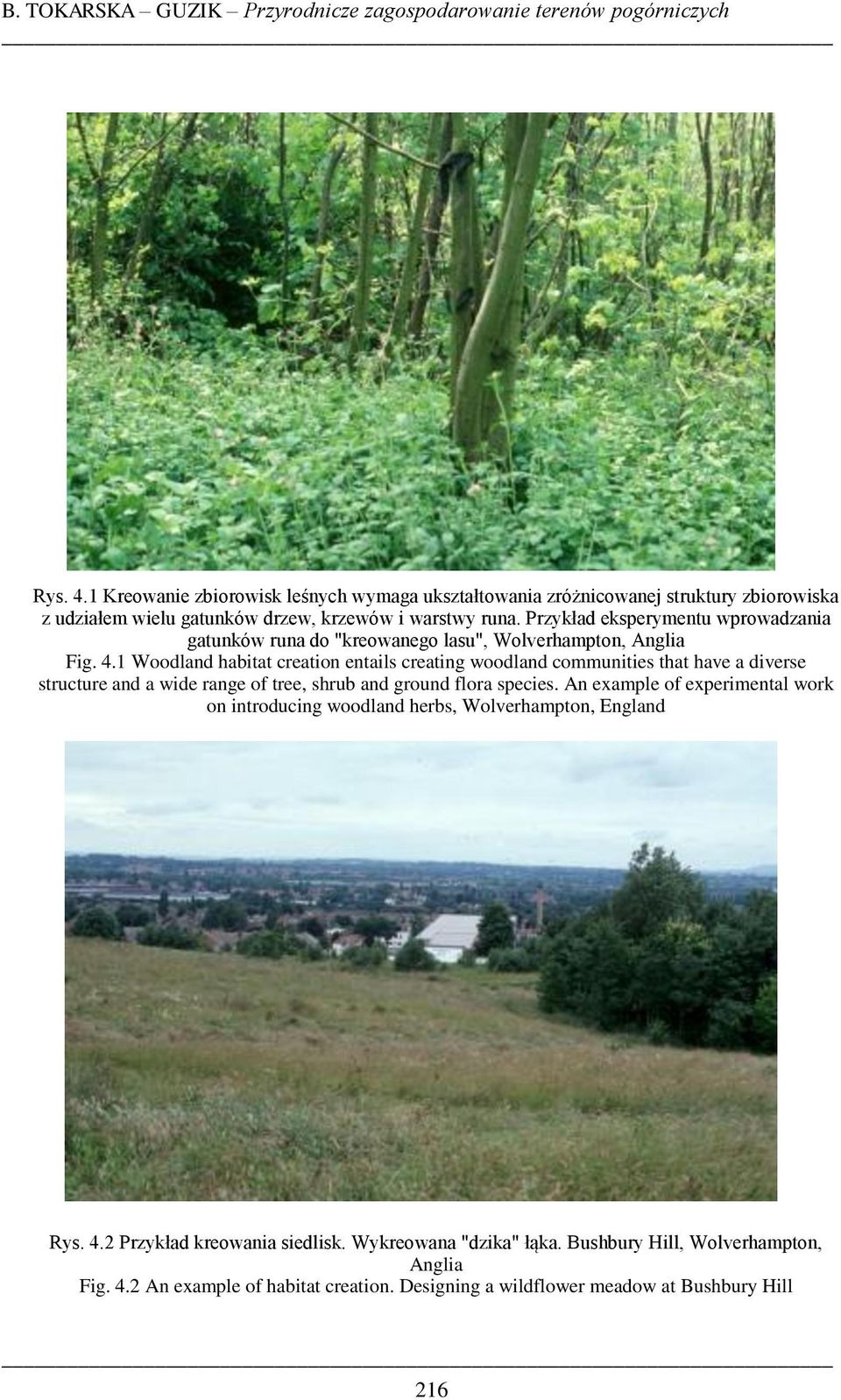Przykład eksperymentu wprowadzania gatunków runa do "kreowanego lasu", Wolverhampton, Anglia Fig. 4.
