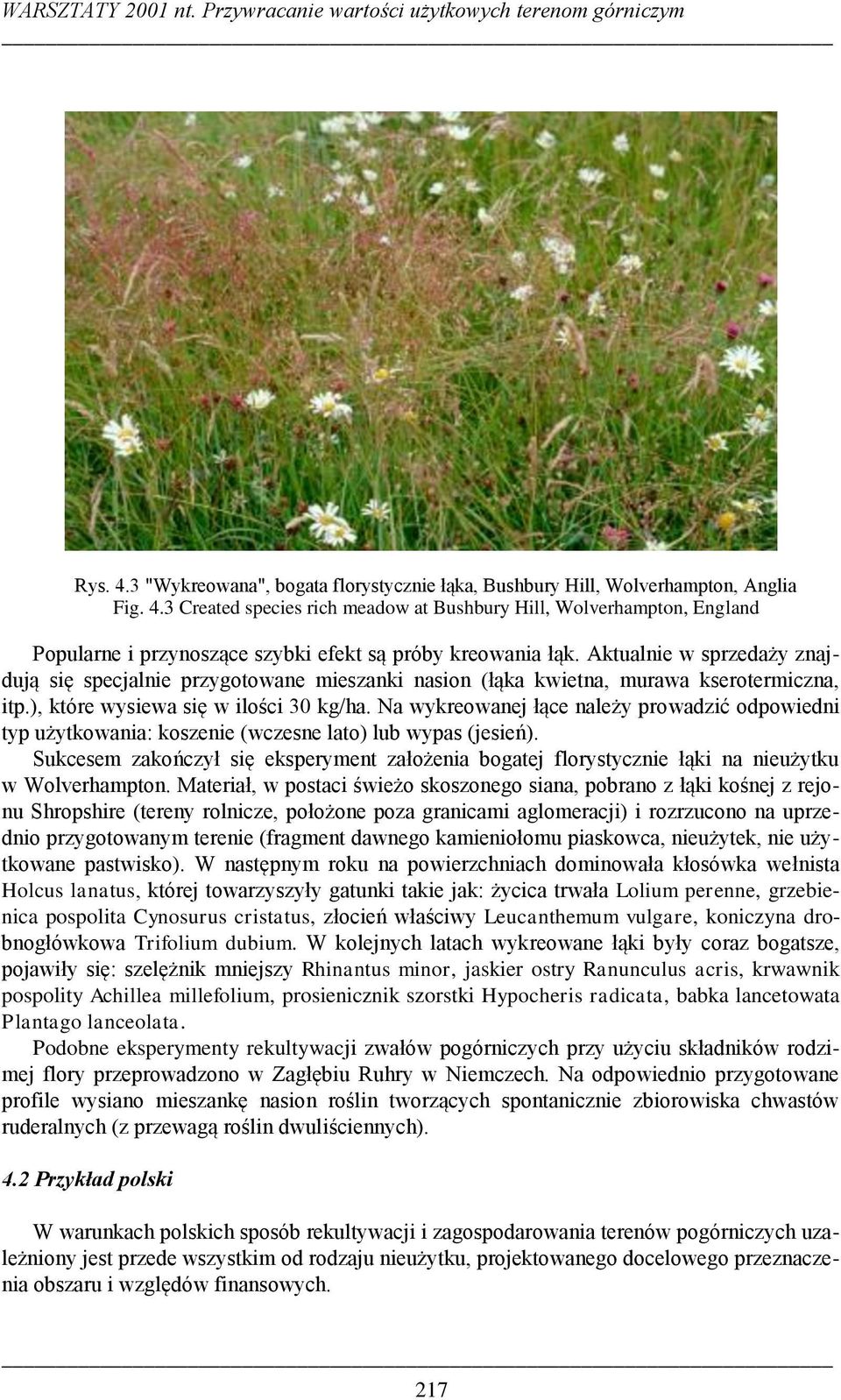 3 Created species rich meadow at Bushbury Hill, Wolverhampton, England Popularne i przynoszące szybki efekt są próby kreowania łąk.