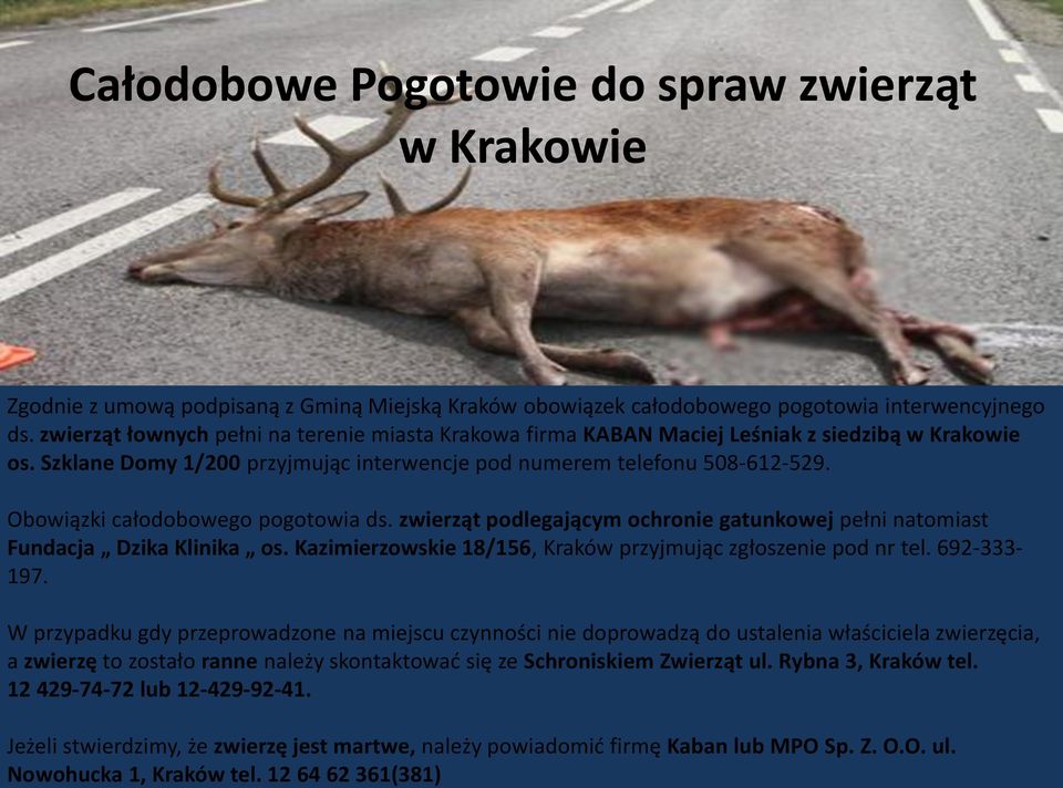 Obowiązki całodobowego pogotowia ds. zwierząt podlegającym ochronie gatunkowej pełni natomiast Fundacja Dzika Klinika os. Kazimierzowskie 18/156, Kraków przyjmując zgłoszenie pod nr tel. 692-333- 197.