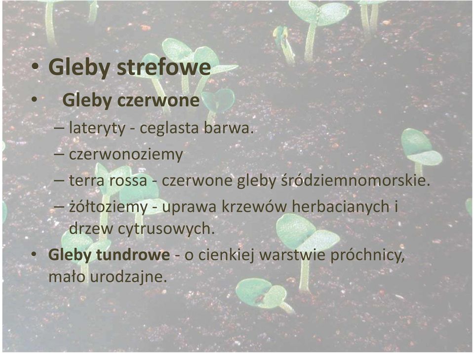 żółtoziemy -uprawa krzewów herbacianych i drzew cytrusowych.
